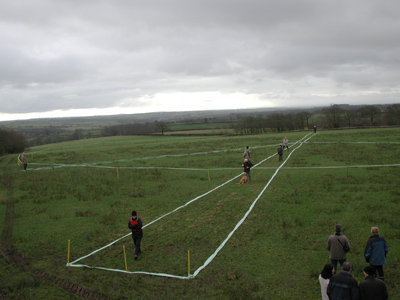 sixe of turbine and blades plotted out on field
