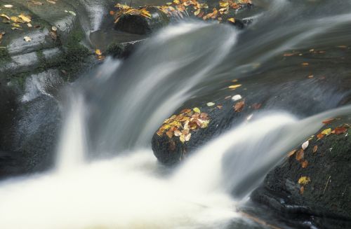 Clydach Gorge