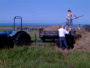 haymaking