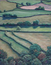 Leper Fields