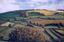 Summer
evening, Great Torrington