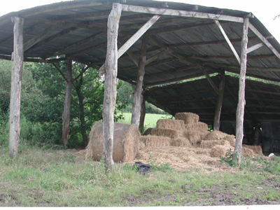 barn