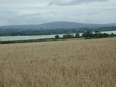 Dartmoor