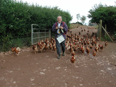 Hens