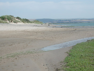 down on the beach