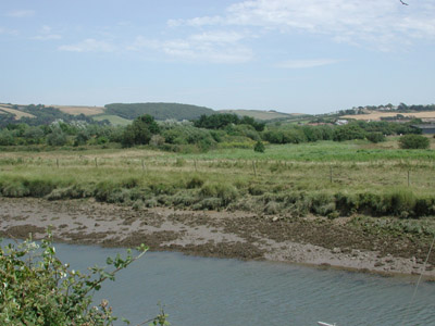 from river