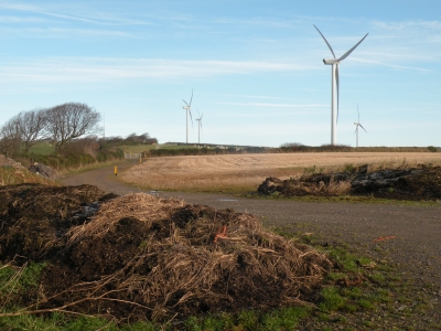 road in field