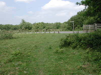 Knowstone Moor