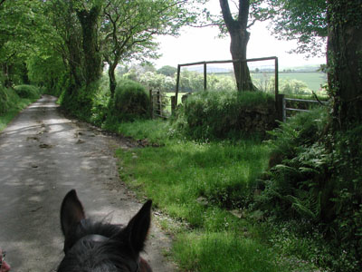 going up the lane