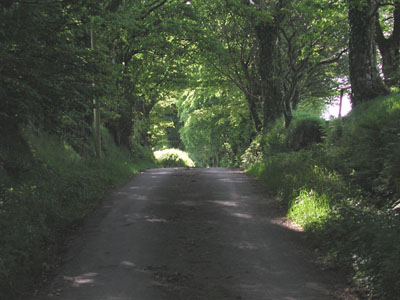 lane