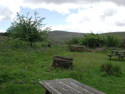 Picnic area
