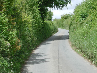 Towards Bowerlands