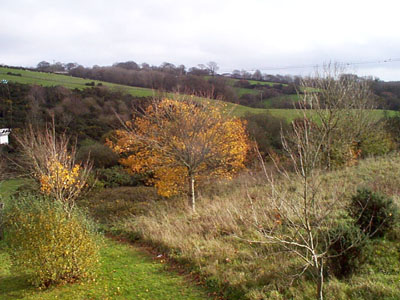 near Tamar lake