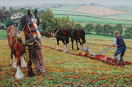 Ploughing near Brent Tor