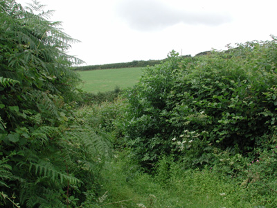 nearer to middle Marwood
