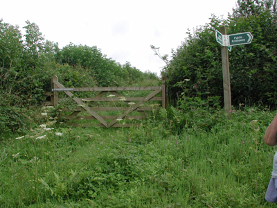 signpost