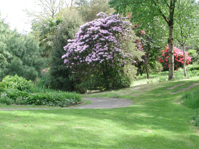 In Marwood Gardens