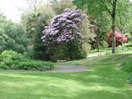Marwood