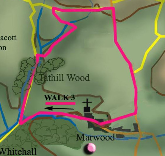 Walk 3 Marwood
