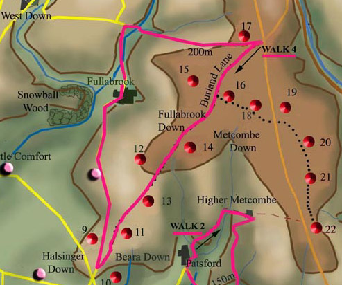 walk4-burland-lane