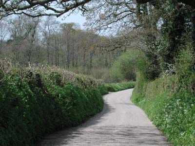 near Luscott Barton