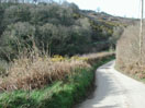At Fullabrook