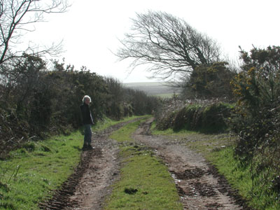 Burland Lane