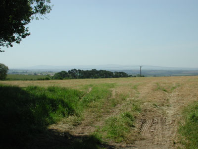 Dartmoor view