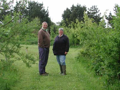 pete and sue