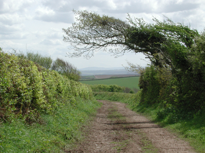 View of Dartmoor