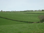Fullabrook skyline