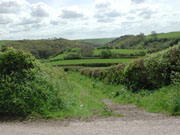 lane
