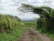 Dartmoor in the distance
