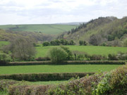 down the valley
