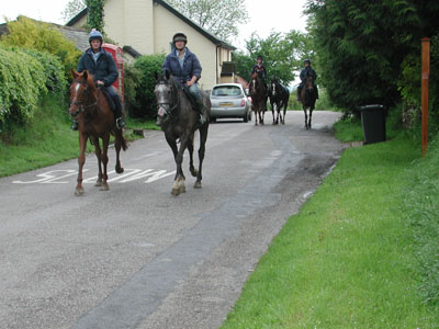 horses in the village