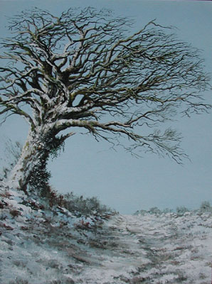 Tree on Exmoor