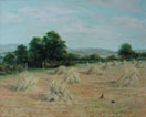 Cornfield near Exmoor