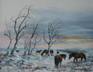 ponies on Exmoor