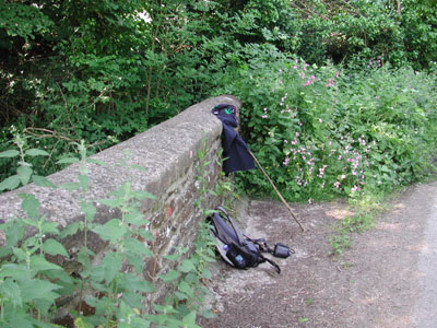 The little bridge