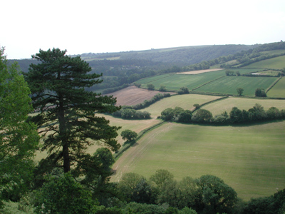 View from Castle Hill