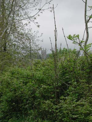 Holsworthy church