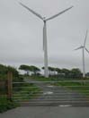 the turbines