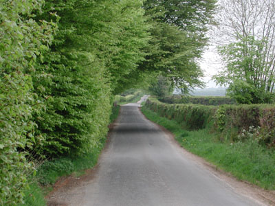 the road was empty=