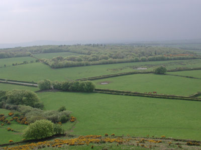 the turbine site