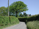 Iddesleigh Church