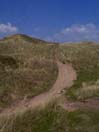 Braunton
                Burrows