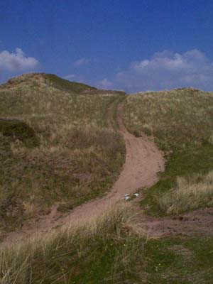 Sand dunes on Braunton Burrows