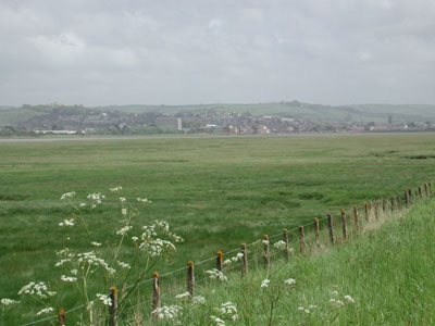 barnstaple from tarka Trail
