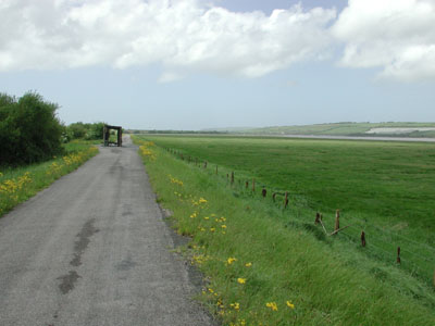 Estuary