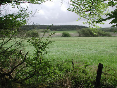 valley beside True plantation